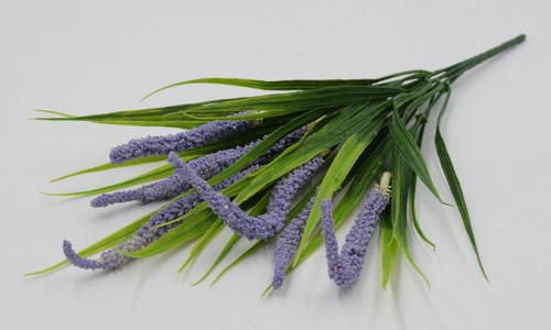 Куст пырей с эремурусом 