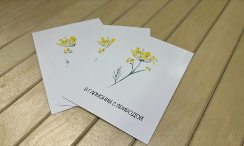 Открытки картонные 