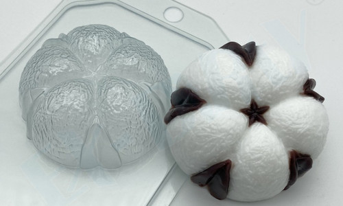 Хлопок / 5 долек