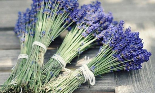 Лаванды эфирное масло реконструированное