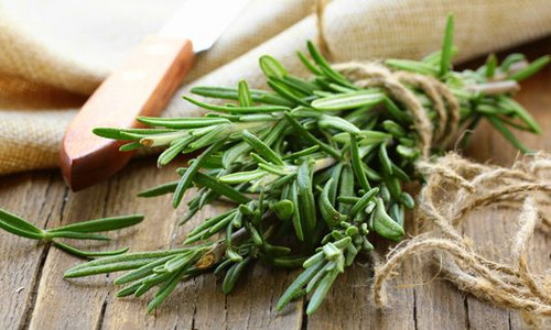 Розмарина эфирное масло