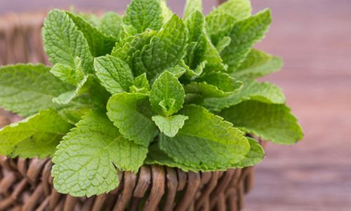 Мята перечная, ароматизатор натуральный