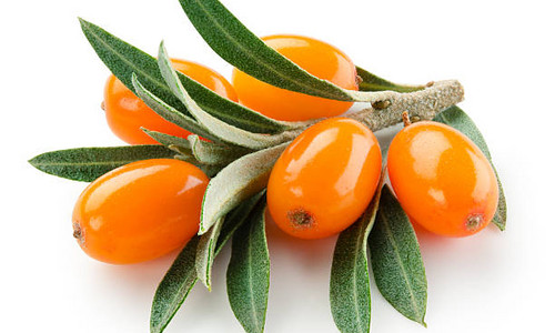 Облепиха отдушка