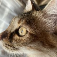 Юлия Плехова